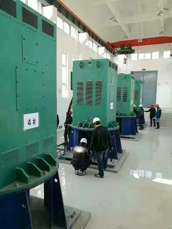 江城某污水处理厂使用我厂的立式高压电机安装现场