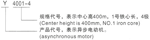 西安泰富西玛Y系列(H355-1000)高压江城三相异步电机型号说明